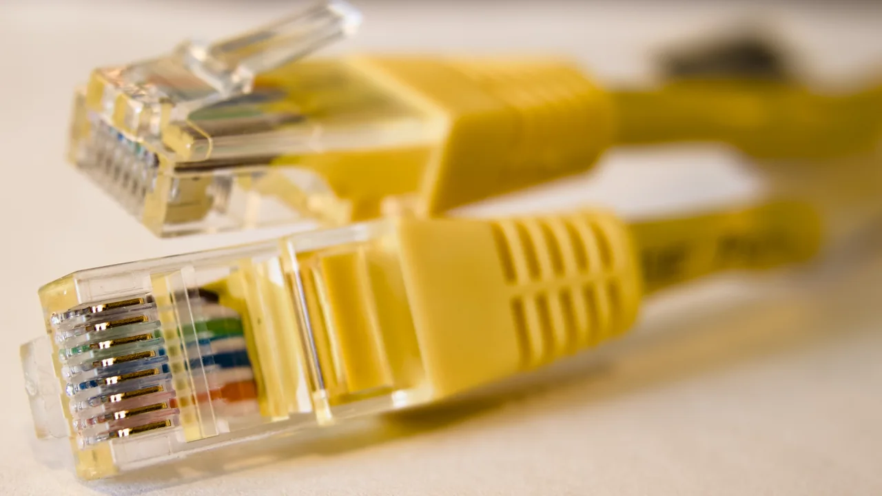 Connecteurs Ethernet jaunes illustrant le câblage d’un réseau informatique